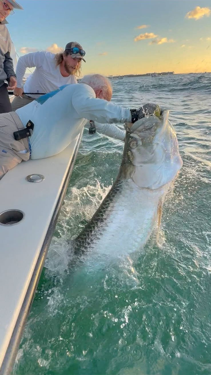 Tarpon fishing in Boca Grande